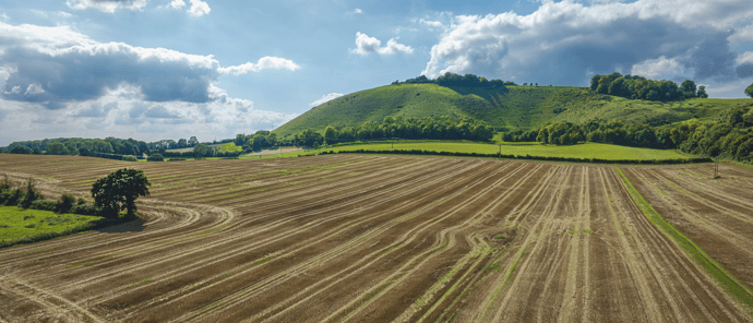 DJI_0170-HDR