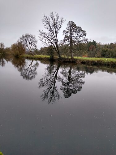 IMG_20211128_122055692_HDR