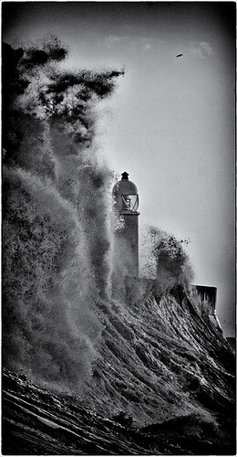 e4fa58e2-b057-4808-bc07-ef60f9c545bc_2408578316