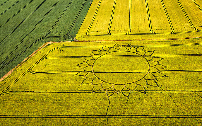crop circle 5