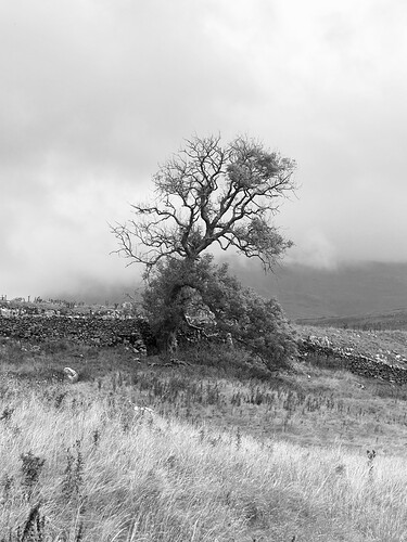 IMG_4845