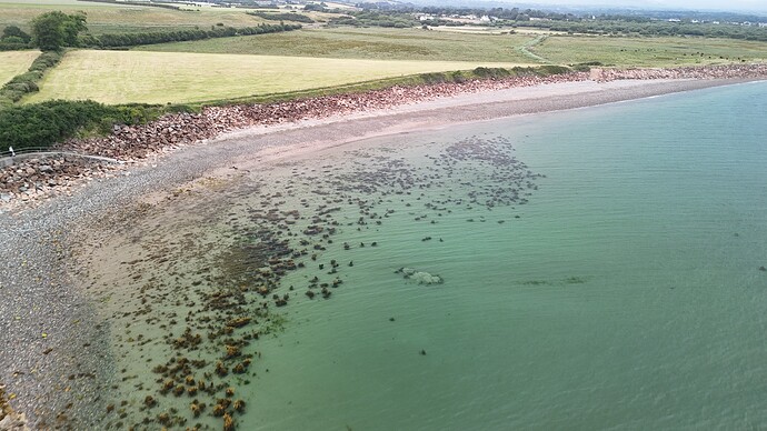 dji_fly_20250621_201946_0236_1750534835731_photo