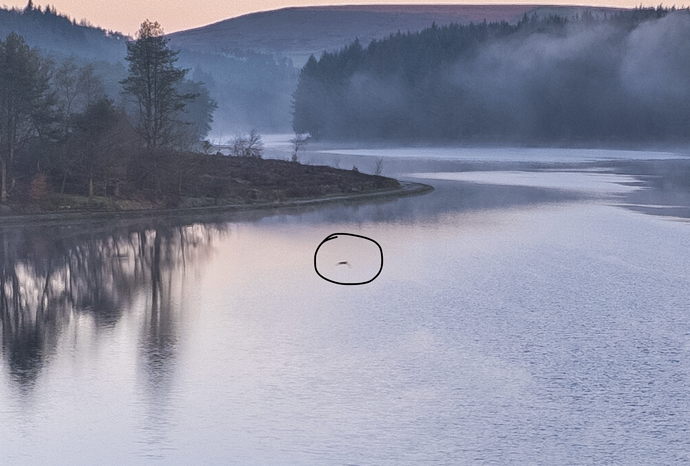 Screenshot 2023-04-15 at 13.57.36
