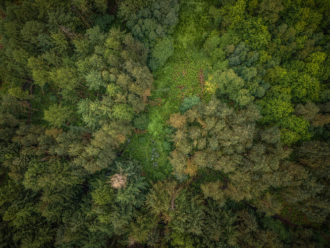 DJI_20240615110733_0008_D-Edit-Edit