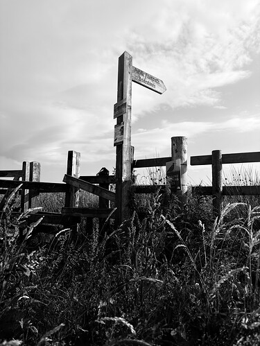 IMG_0899