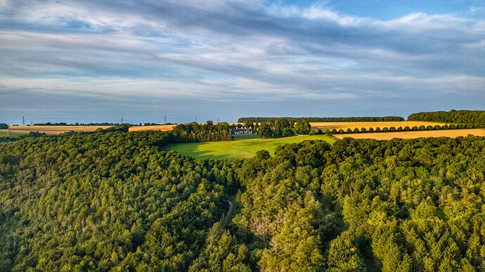 DJI_0101-01