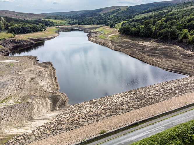 7cd5e292-d161-4a9f-9dea-1918575a6419_errwoodfer