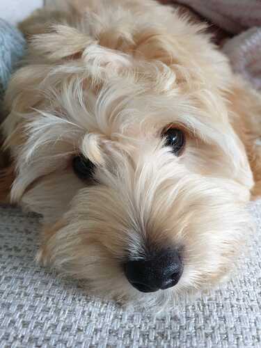 WhatsApp Image 2026-02-17 at 10.08.01 (1)