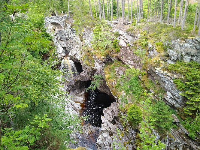 IMG_20220627_172758611