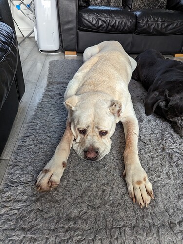 PXL_20230909_160406896