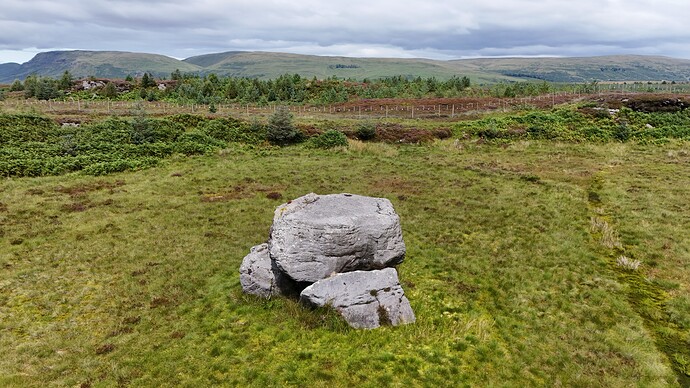 DJI_20250731132209_0003_D