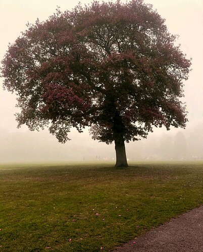 20201108_140410