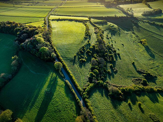 d7e114ed-472e-4ec3-a399-7c721721f59edji202604