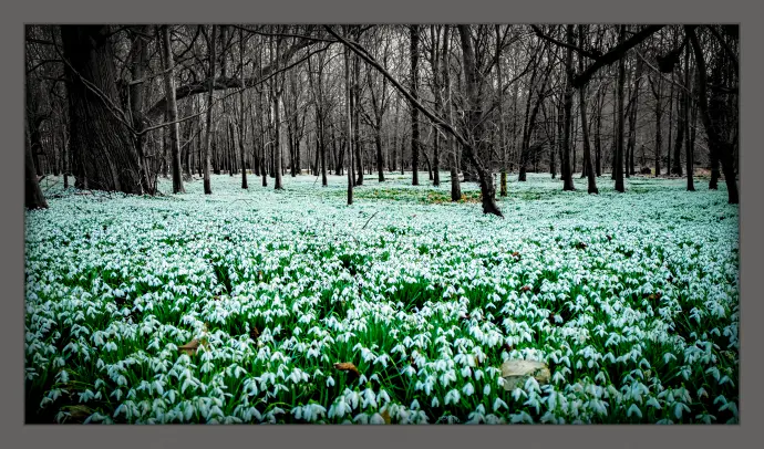 5e27bfcf8d06944816fb92fe0f8f5b7867ff3d6f