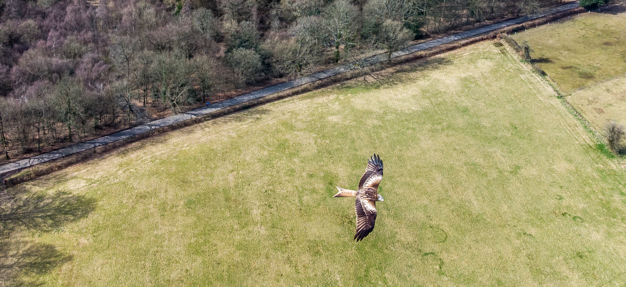 Red Kite conducts quick risk assessment Photos by Drone Grey Arrows