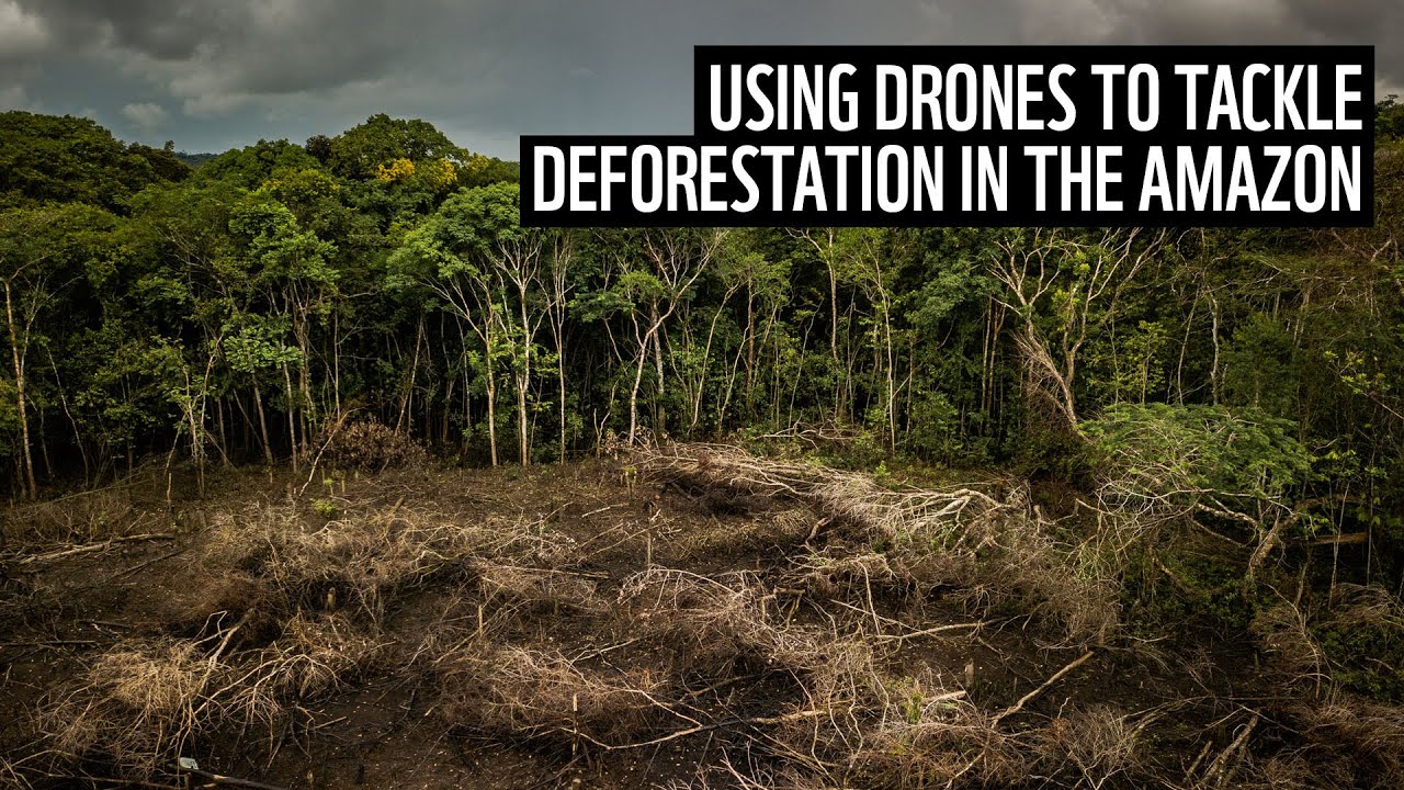 Using drones to tackle deforestation in the Amazon rainforest | WWF ...