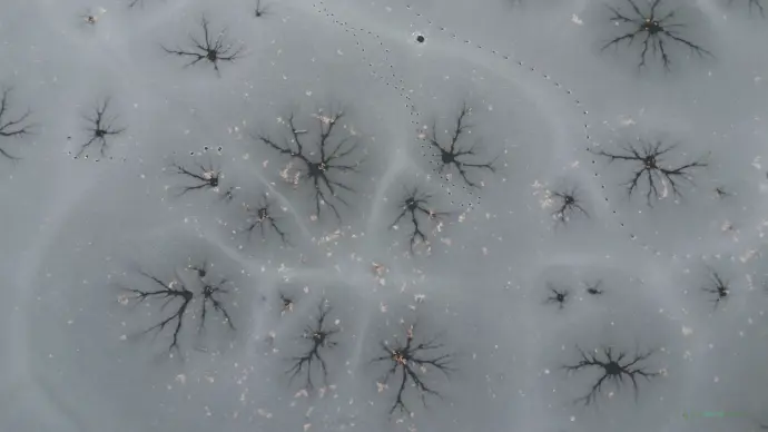 vlcsnap-2022-12-13-12h57m59s583