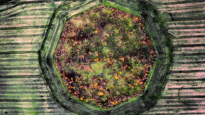 20221204194511_DJI_0455_HDR