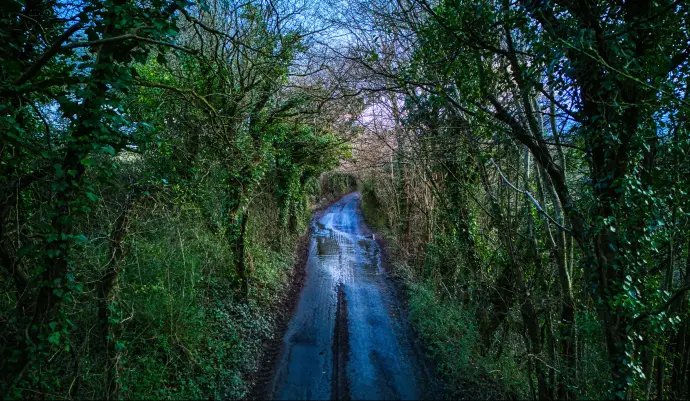 3dfb1d14de0d640f2e889828b813b847bfa9f4d7