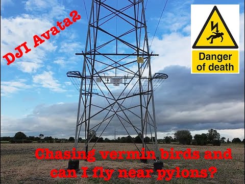 Chasing birds and is it safe to fly near pylons? - Videos by FPV Drone ...