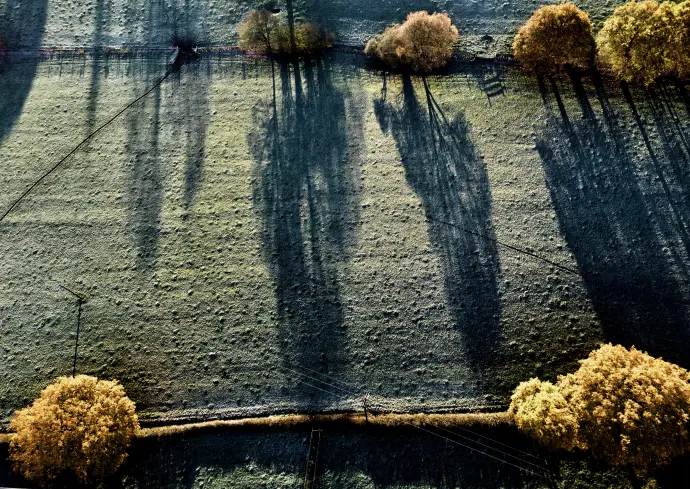 0E674CAB-F3F1-4F81-93BE-EFD0D28B8D8F