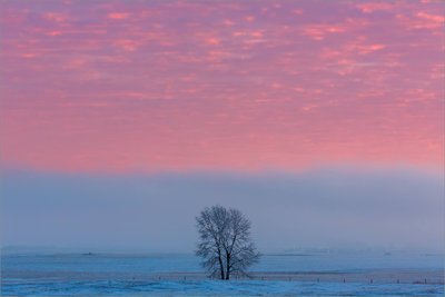 dawn-above-a-lone-tree-on-the-prairie-c2a9-christopher-martin-5375-2