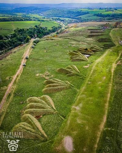 0f96ae46-7071-4740-a346-b2a8e179b5d2_images