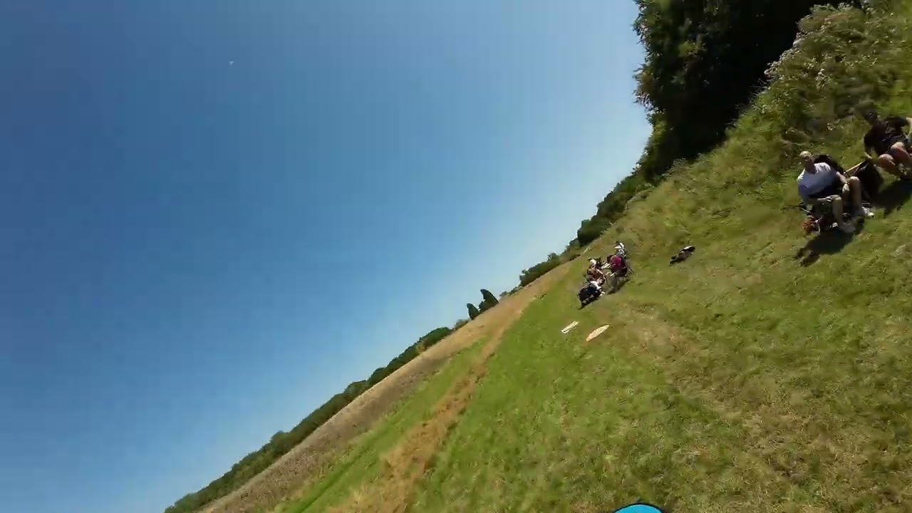 treesRdicks