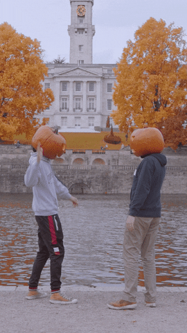 giphy