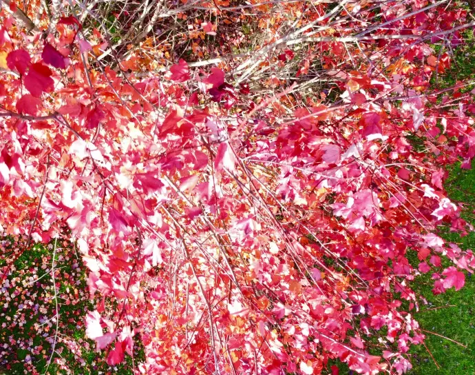 36494C08-5B8E-4C0C-807D-F52A8FD78CAF