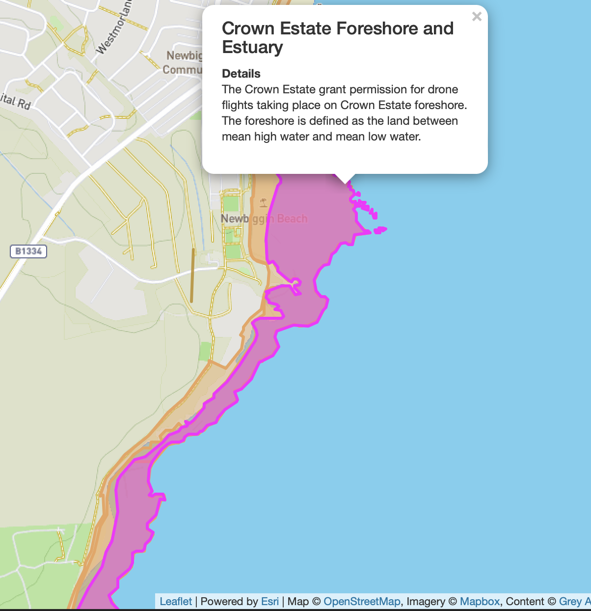 New Member from Ellington, Morpeth Introductions Grey Arrows Drone
