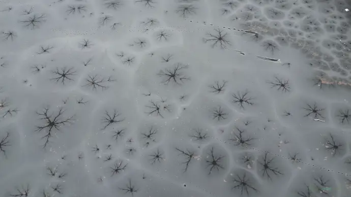 vlcsnap-2022-12-13-13h01m48s894