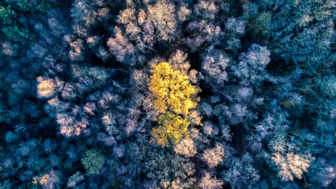 20221210-DJI_0014-Edit